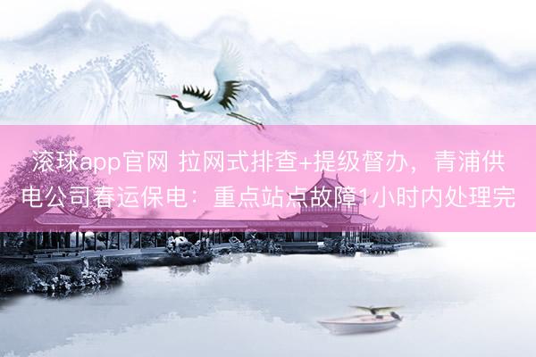 滚球app官网 拉网式排查+提级督办，青浦供电公司春运保电：重点站点故障1小时内处理完